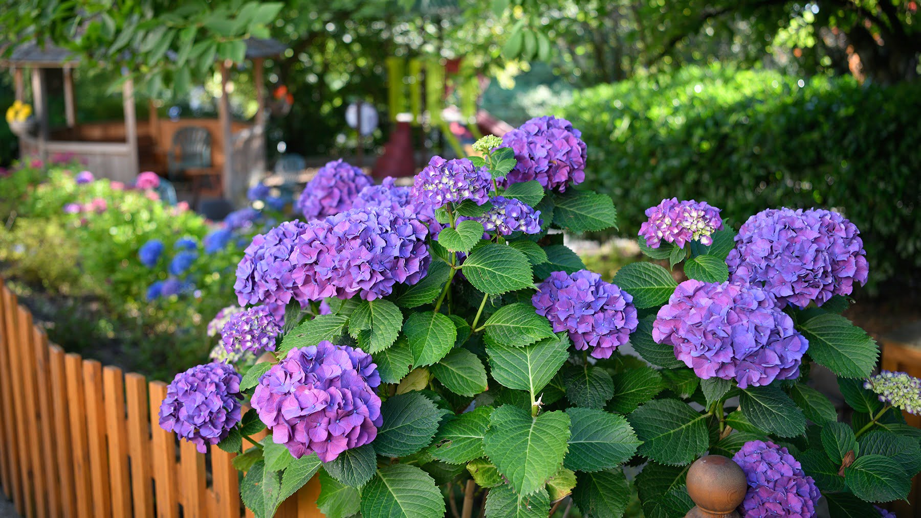 German-Canadian Care Home