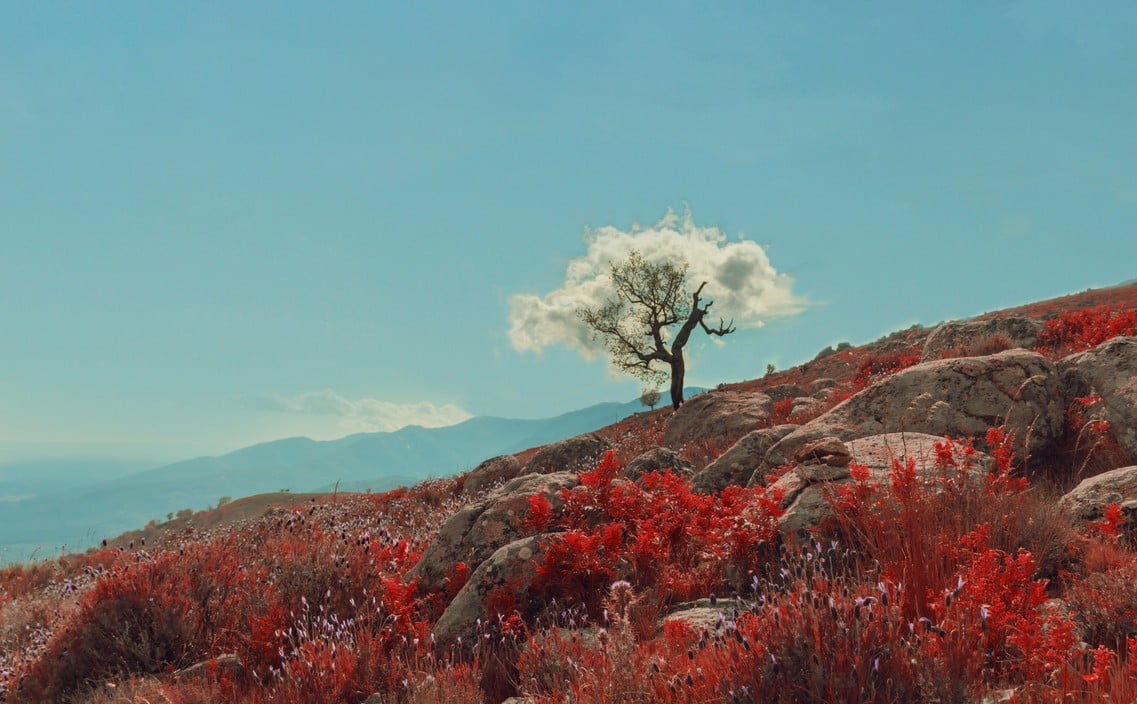 Making a Lasting Change