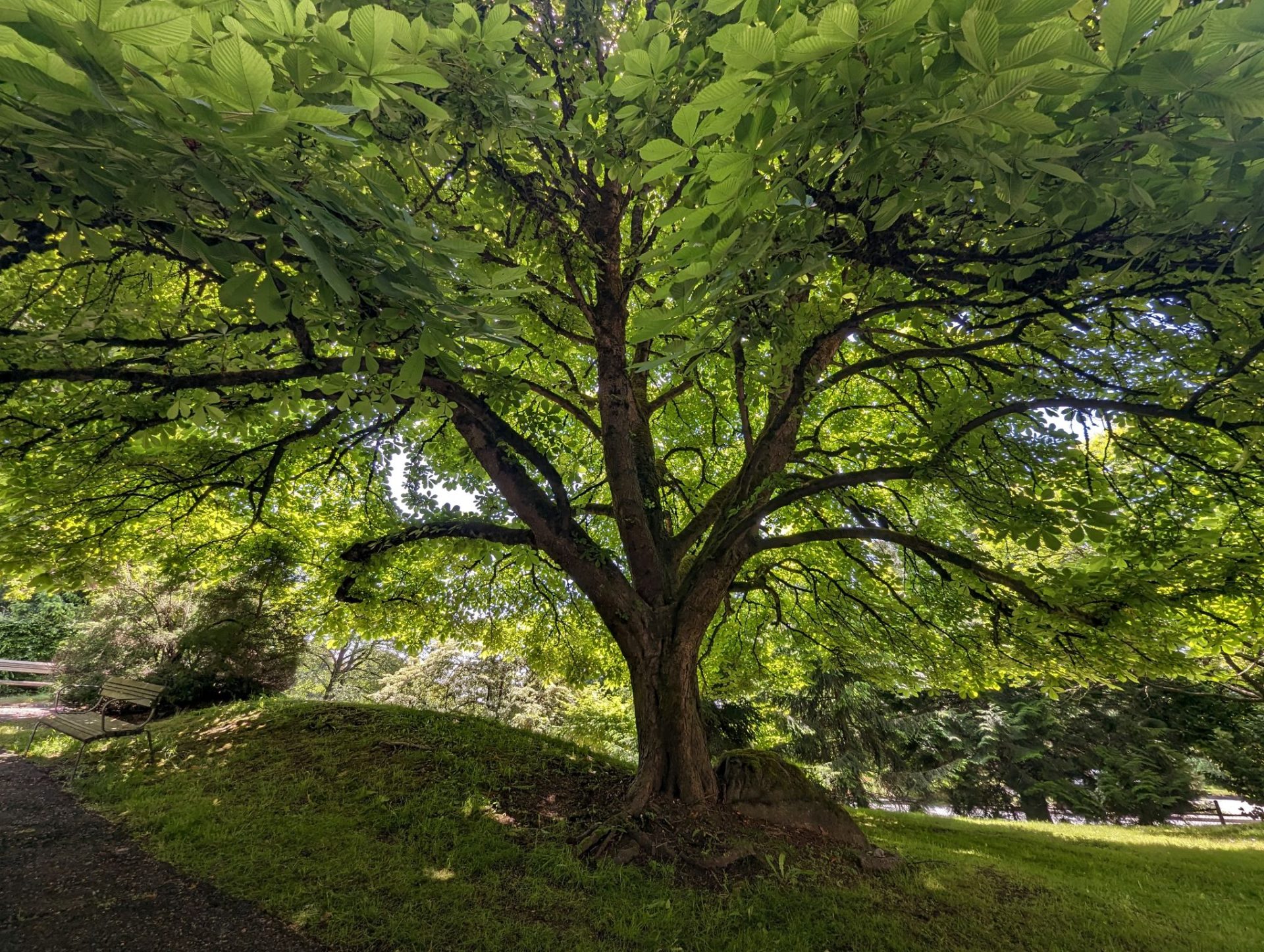 German-Canadian Care Home